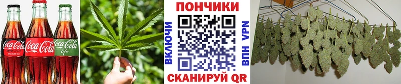 гидра маркетплейс  цены наркотик  Нестеров  Cannafood марихуана 