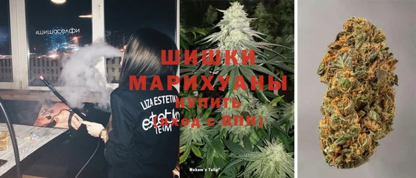 ПСИЛОЦИБИНОВЫЕ ГРИБЫ Балахна