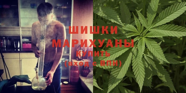 ПСИЛОЦИБИНОВЫЕ ГРИБЫ Балахна