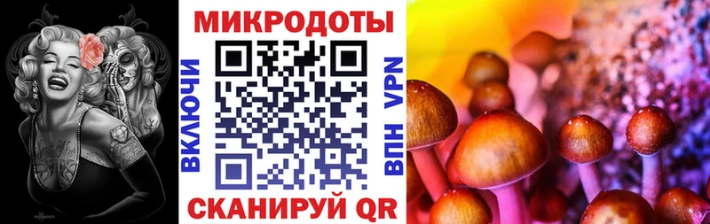 omg ONION  сайты даркнета формула  Галлюциногенные грибы MAGIC MUSHROOMS  Нестеров 